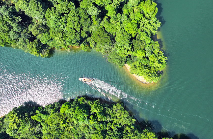 真夏の日差しに輝く湖水と緑の小島　江西省宜豊