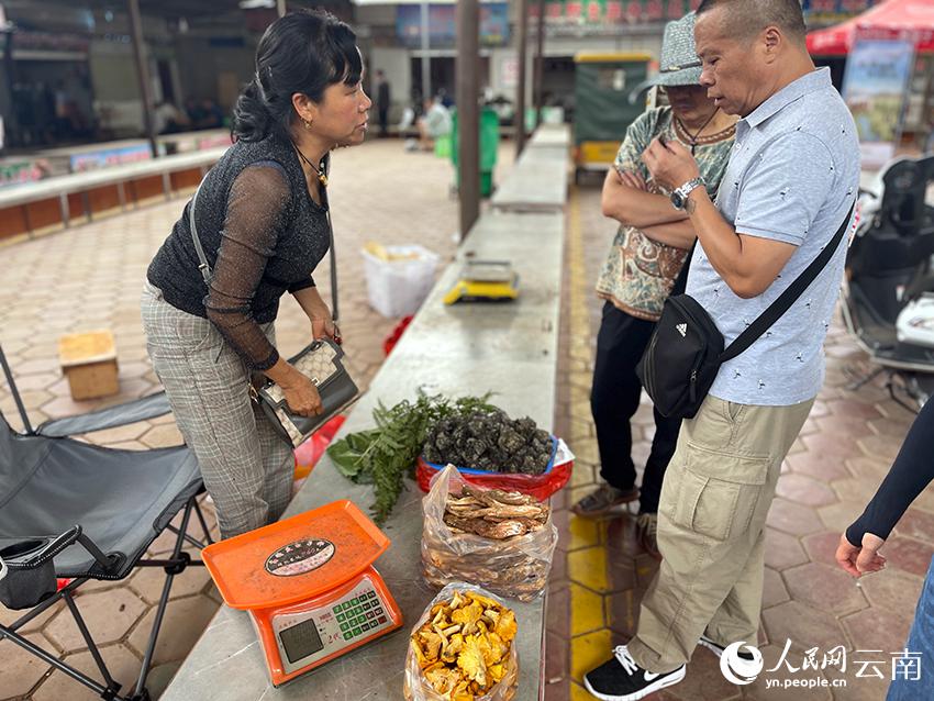 旬到来！「野生キノコの王国」のキノコ市場に活気　雲南省