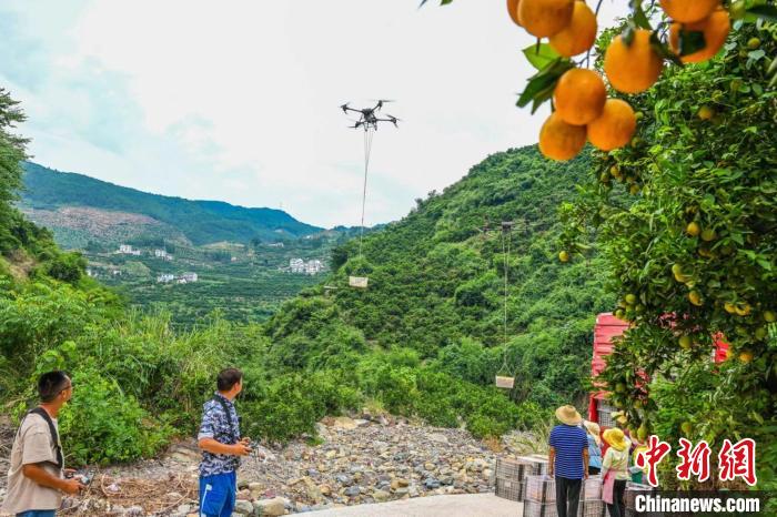 三峡ダムエリアの夏ミカン畑で活躍する「運搬の神器」　湖北省