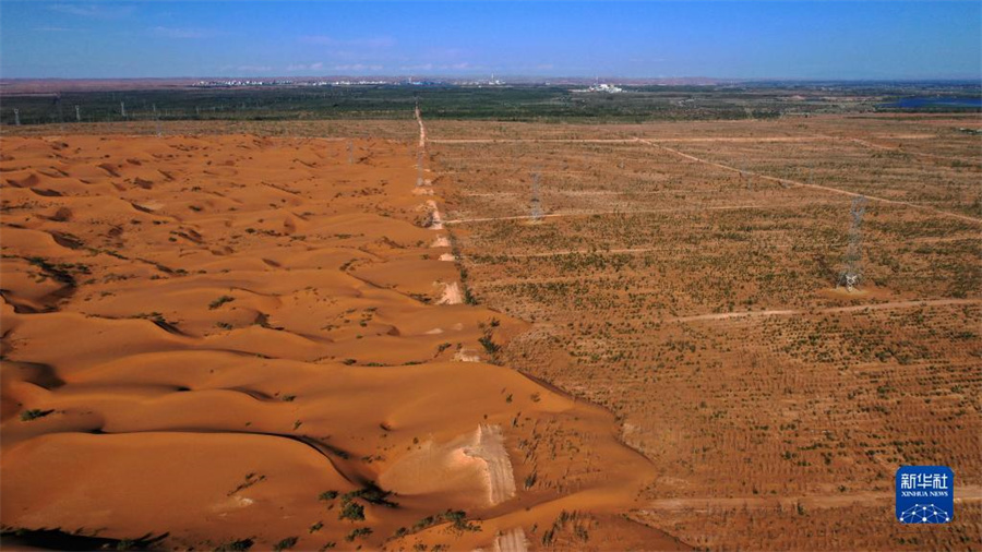 寧夏の中衛市、複数の措置で緑が増加し砂漠が減少