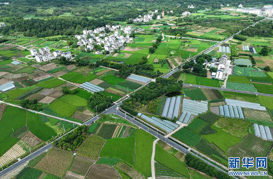 緑あふれる夏の田園風景　安徽省黄山市