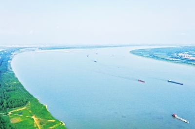 今年8月14日、スナメリが何度も出没した長江・武漢市新州区双柳区間の水域（ドローンによる撮影・胡冬冬）。