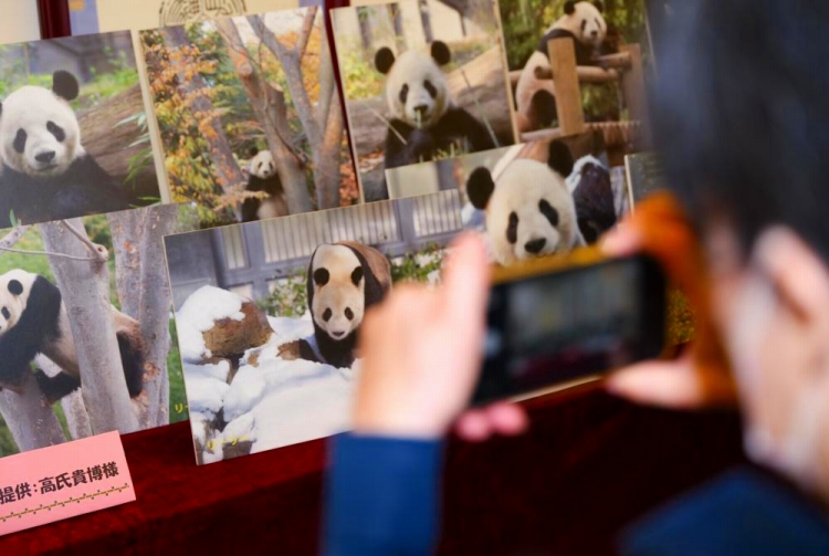 東京の中国文化センターでパンダの写真をスマホで撮影する来場者（8月16日撮影・張笑宇）。