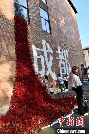 旧暦七夕を彩る5200本のバラで作られた「バラの滝」　四川省成都