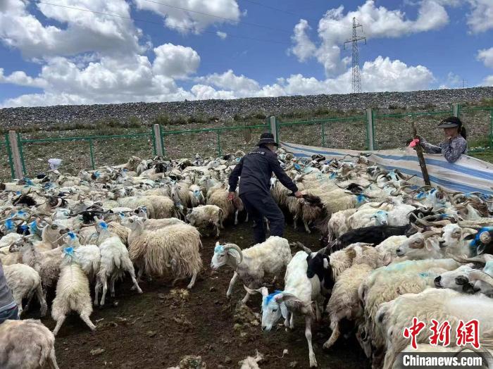 青海省の牧畜民たちをサポートする木里草原の「移動交番」