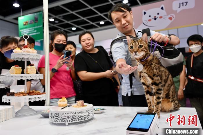 香港キャットエキスポを満喫するネコ好きたち　香港特区