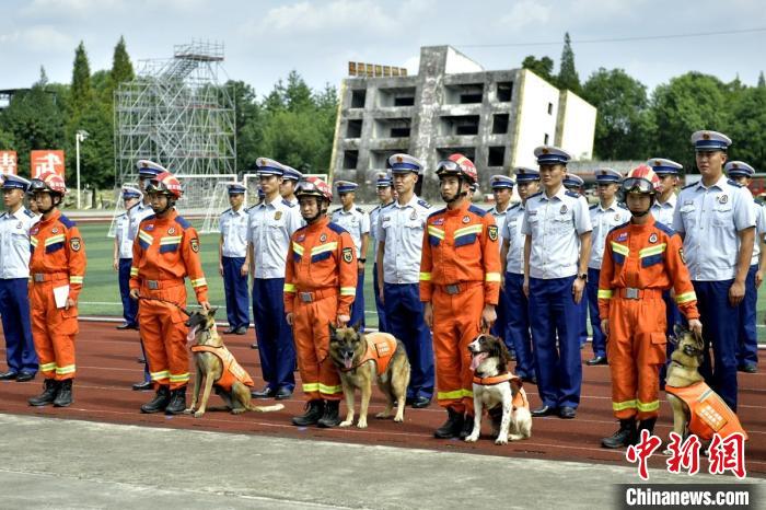 引退する捜索救助犬4匹を里親へ　四川省成都市