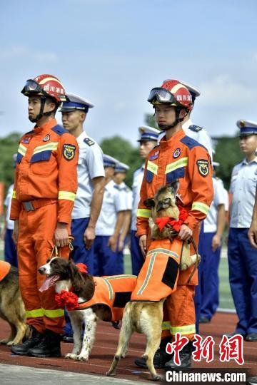 引退する捜索救助犬4匹を里親へ　四川省成都市