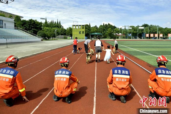 引退する捜索救助犬4匹を里親へ　四川省成都市