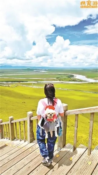 イヌと一緒に旅行を楽しむ女性。