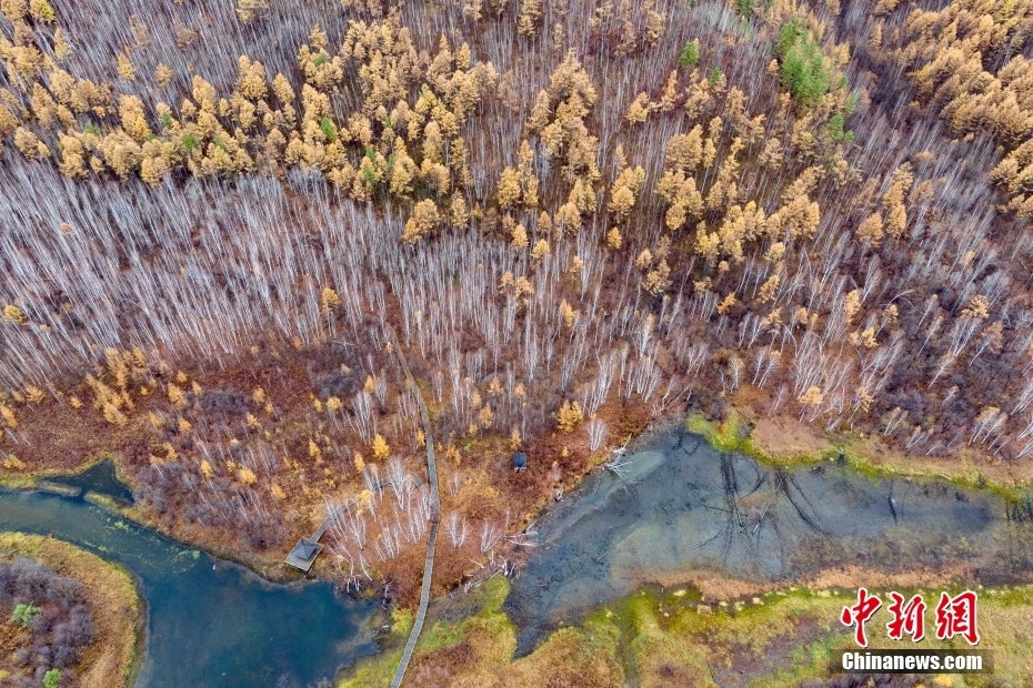 幻想的な秋の景色が広がる黒竜江省漠河県の山水画廊景勝地