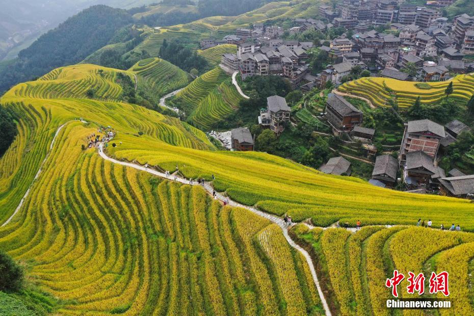 世界の重要な農業文化遺産「龍脊棚田」が観光ベストシーズンに