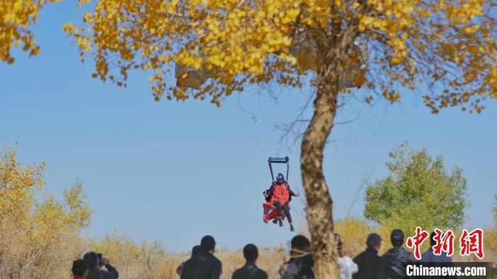 コトカケヤナギ林の上空をウイングスーツで飛ぶ！　内蒙古