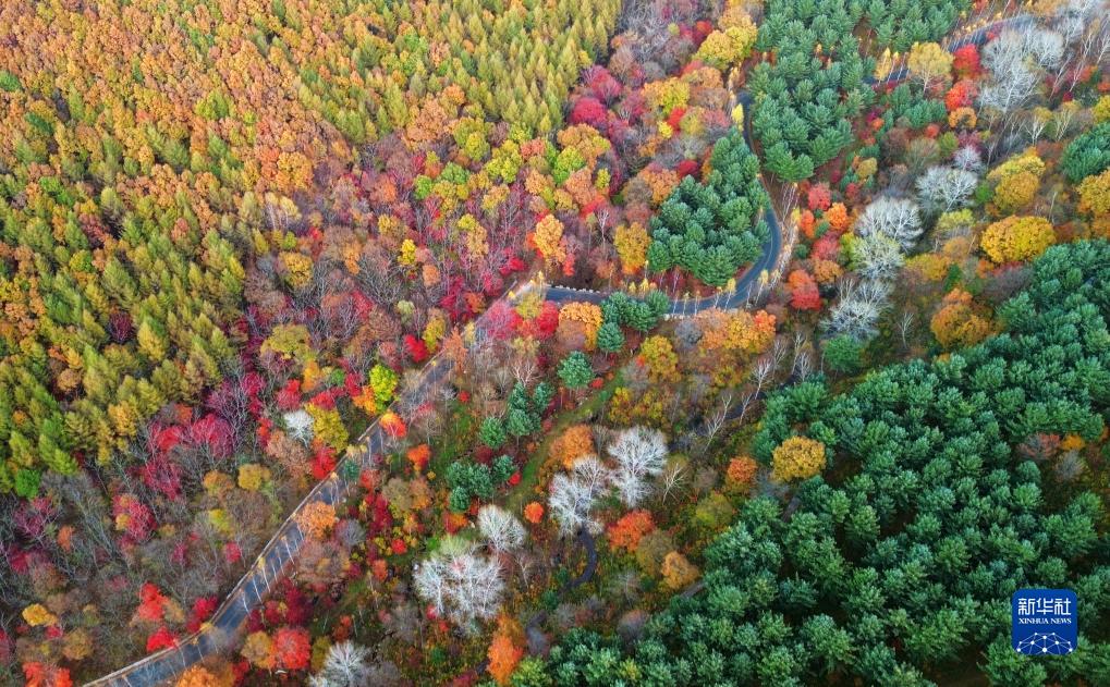 紅葉が見頃を迎え、鮮やかな色に染まった山々　遼寧省本渓