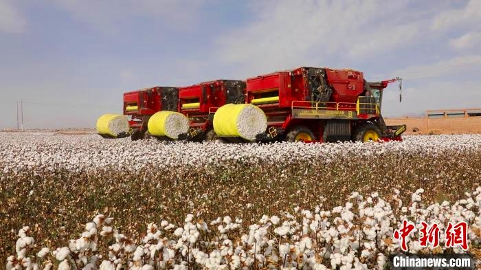 綿花畑で綿摘み機を使った収獲について説明する技術者(撮影・王建強)。