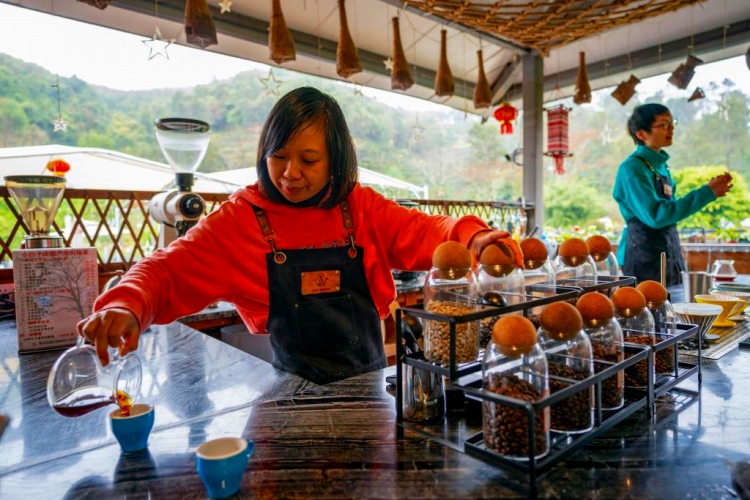 小凹子コーヒー農園で客に提供するコーヒーを入れるボランティア（撮影・陳欣波）。