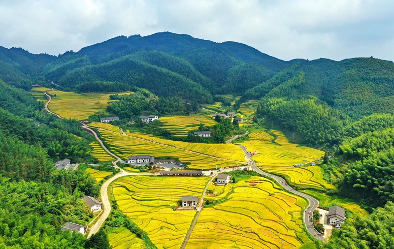 中国各地で秋の収穫　収穫作業は全国で半分以上が完了