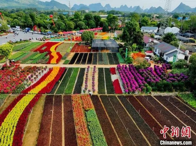 南方花卉苗木交易会が開幕し、カラフルに彩られた桂林　広西