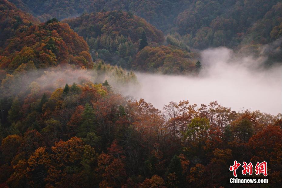 霧に包まれ、秋色に輝く山々　湖北省神農架