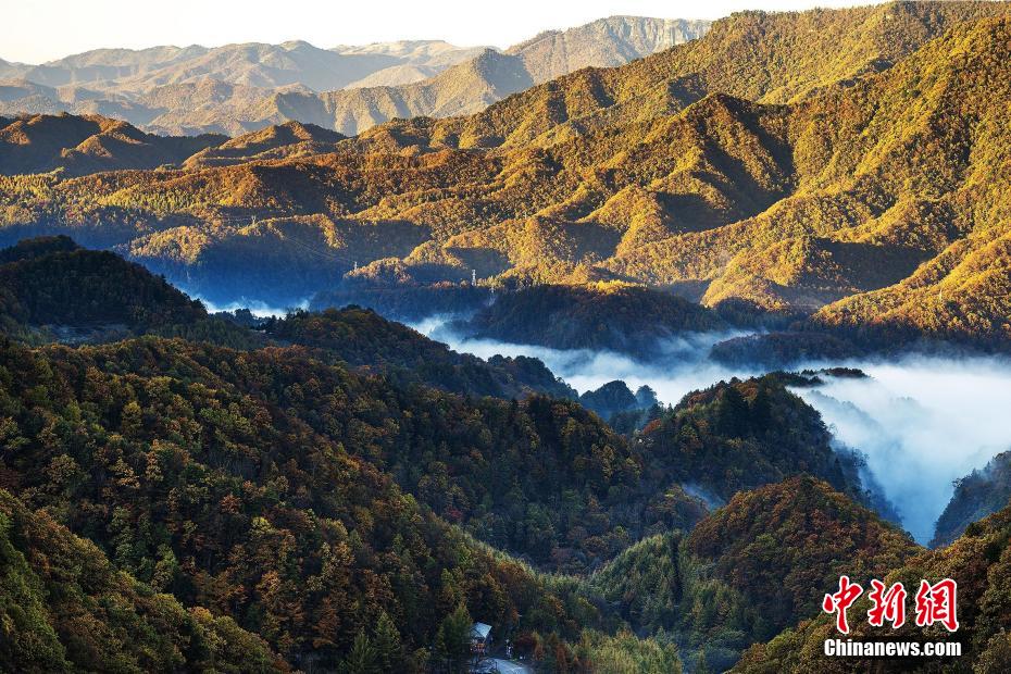 霧に包まれ、秋色に輝く山々　湖北省神農架