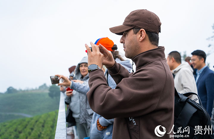 「神鵲茶場」を見学する欧州・アジア諸国の記者（撮影・陽茜）。