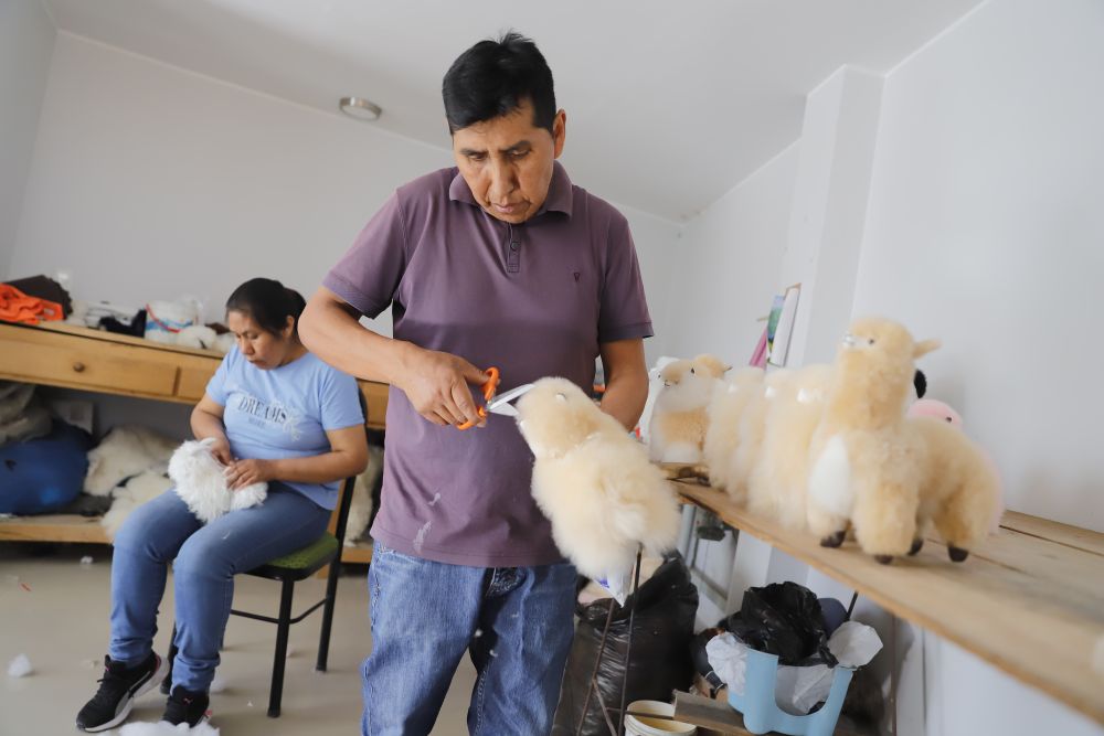 ペルーで輸入博に出展するアルパカのぬいぐるみの準備をするママニさんと妻のグロリアさん。（10月27日撮影）。