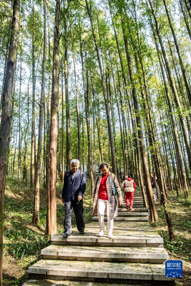 山に活気をもたらす「178環状線道路」　重慶