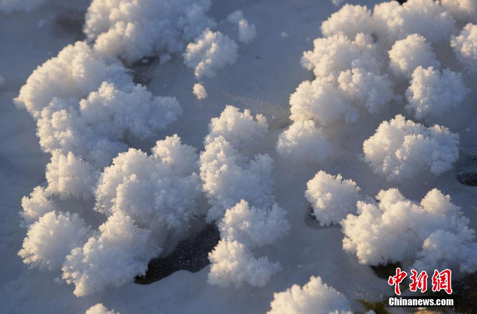 「氷花」が開花！中国で最も寒い地で冬の風情を楽しむ　内蒙古