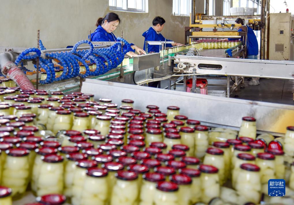 梨の関連製品を開発し、特色ある梨産業の発展を推進　安徽省碭山