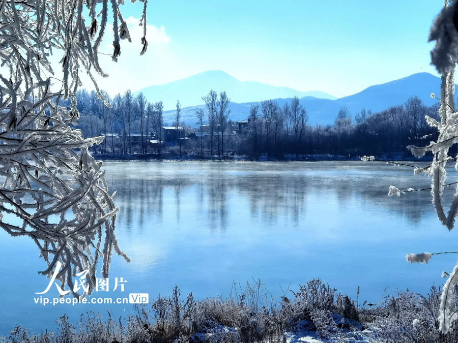 今冬初の大規模な霧氷の景観が現れた吉林省吉林市の松花江のほとり（11月10日撮影・趙彦吉/写真著作権は人民図片が所有のため転載禁止）。