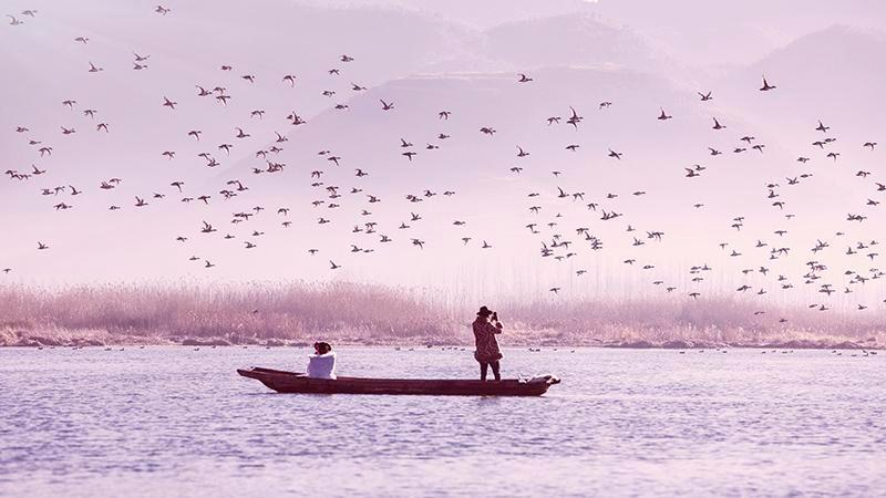 渡り鳥が飛来し、最も美しい時期を迎えた濾沽湖