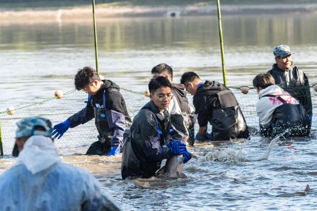 魚を食べよう！湖北省の武漢科技大学で魚捕り＆グルメイベント