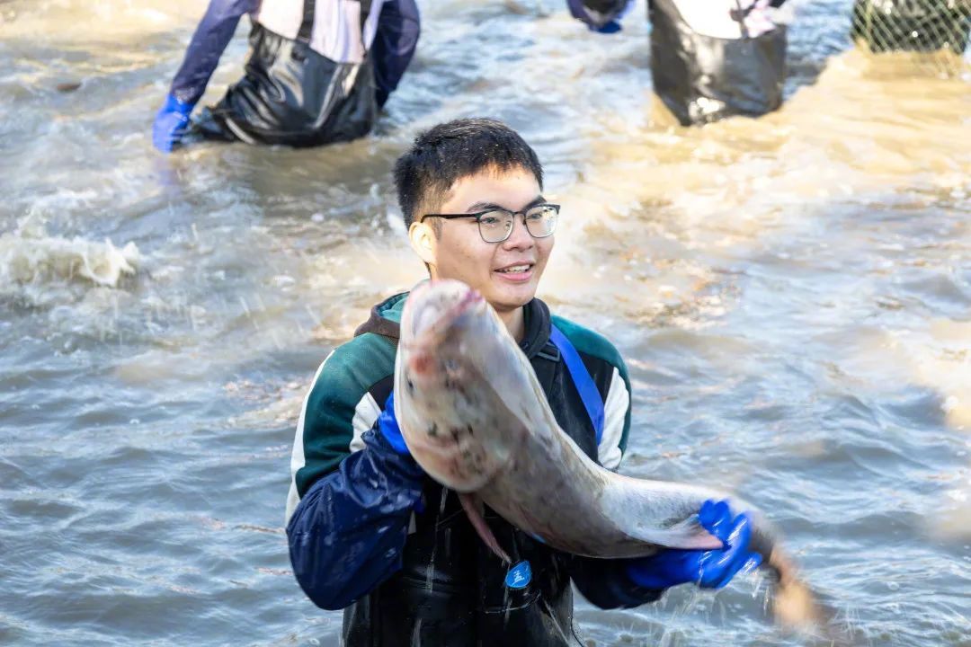 魚を食べよう！湖北省の武漢科技大学で魚捕り＆グルメイベント