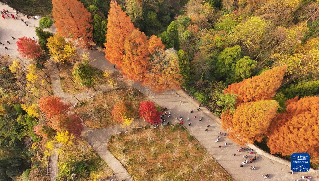 湖南省張家界国家森林公園の天子山（11月22日、ドローンによる撮影・呉勇兵）。
