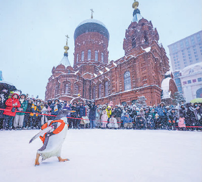 大勢の市民が集まった聖ソフィア大聖堂の前を歩く「淘学ペンギン」（撮影・陳南）。