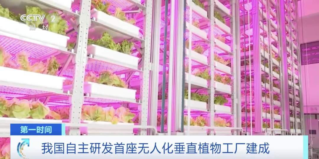 世界初！中国が自動化垂直植物工場を独自開発--人民網日本語版--人民日報