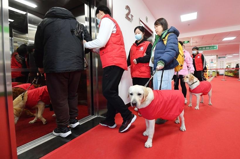 北京市で初となる盲導犬訓練基地が発足
