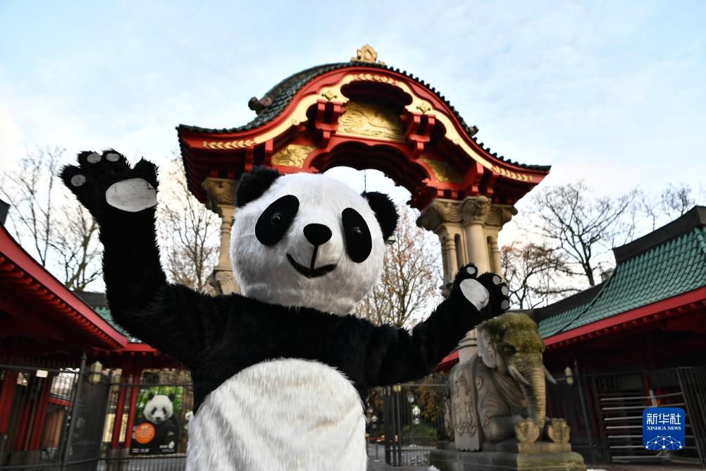 ベルリン動物園が中国帰国を控えた双子パンダの歓送会イベント