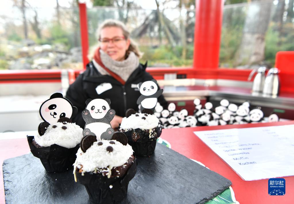 ベルリン動物園が中国帰国を控えた双子パンダの歓送会イベント