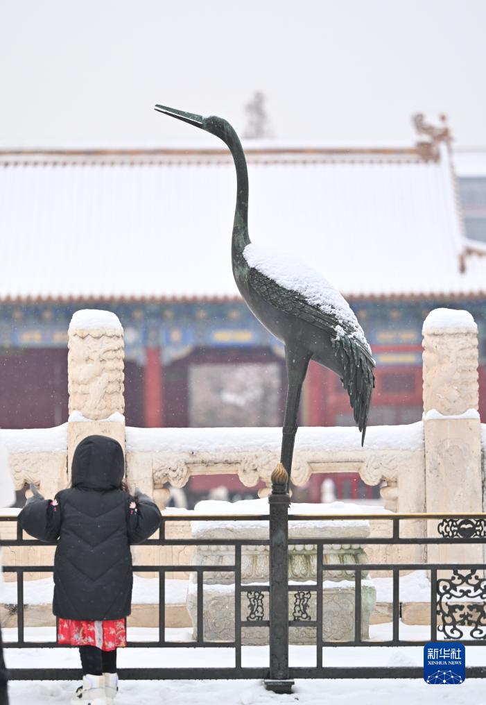 故宮の雪景色を愛でる　北京
