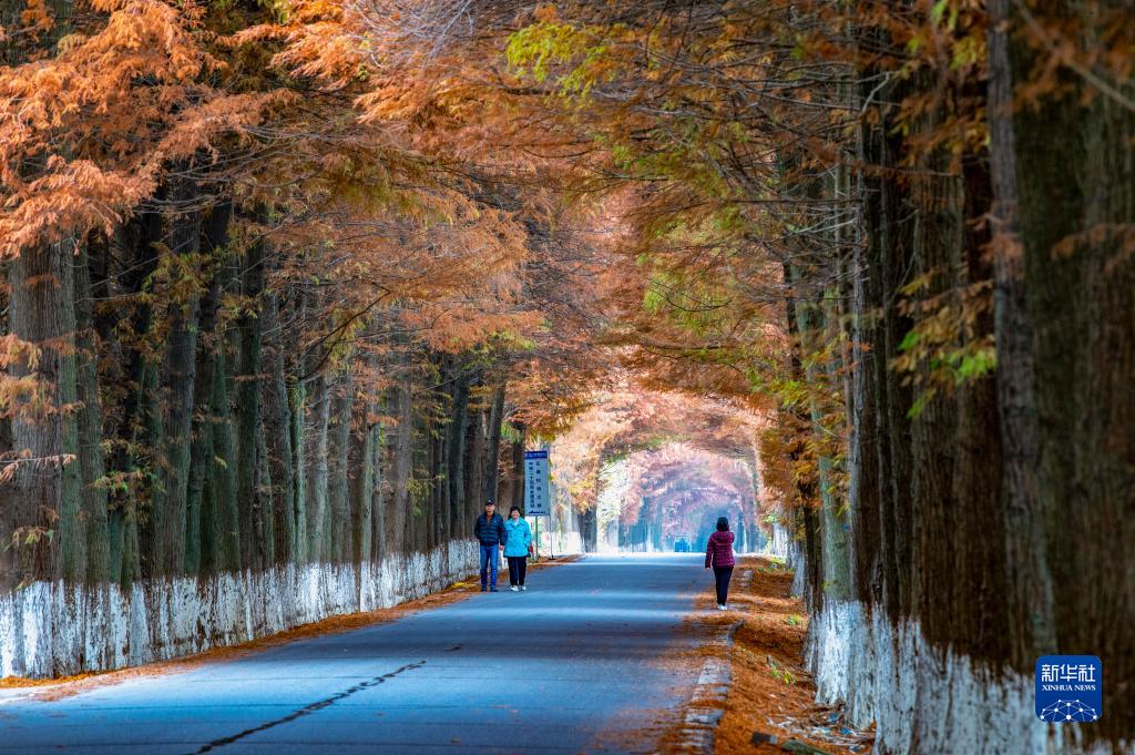 中国各地の思わず息を吞む冬景色