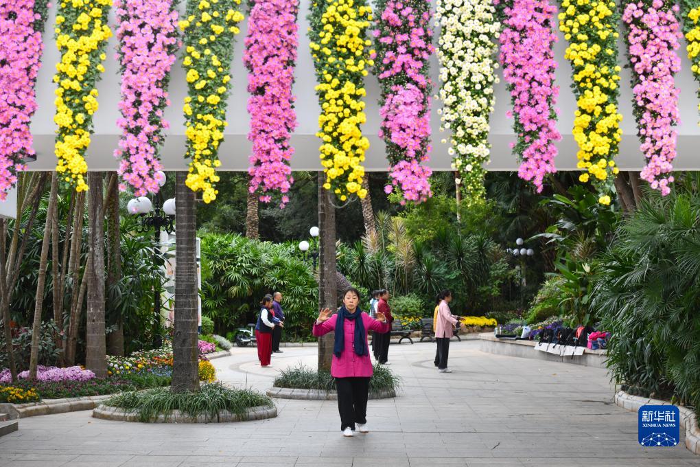 「菊は万象に花開く」　第39回深セン菊花展が華やかに開催