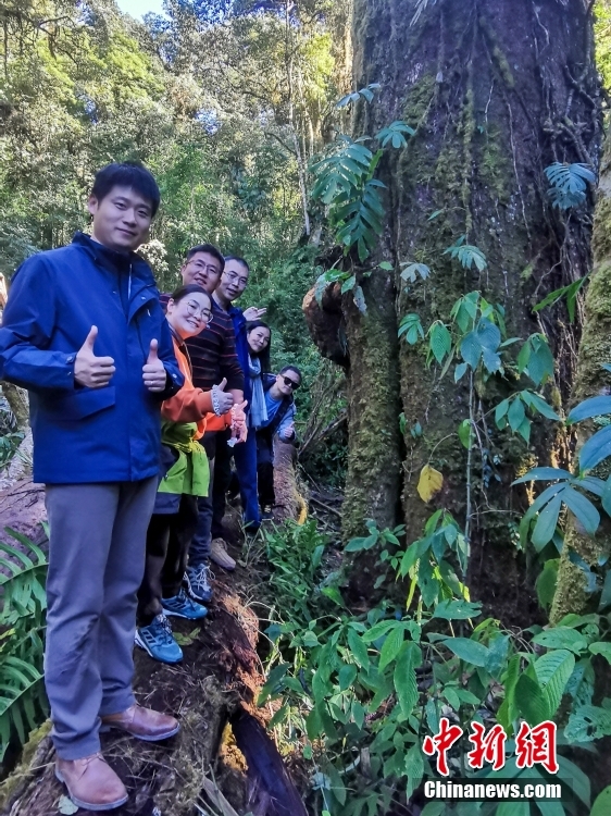 墨脱の秘密を探る中国の動植物専門家