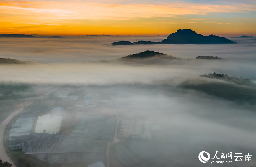 普洱山に広がる雲海の絶景　雲南省寧洱市