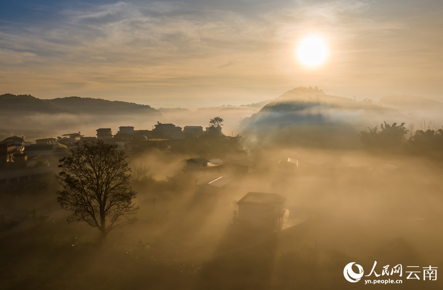 普洱山に広がる雲海の絶景　雲南省寧洱市