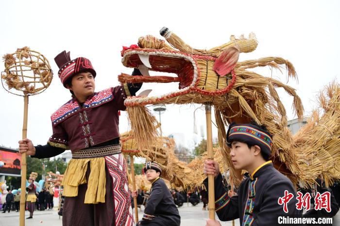 「草竜舞」で迎える春節　広西・羅城