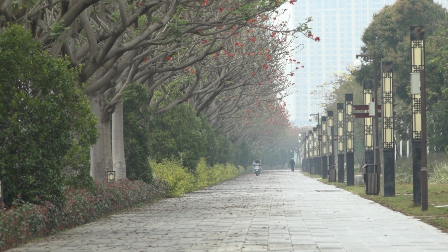 デイゴの花が美しい福建省・泉州の別名は「刺桐城」