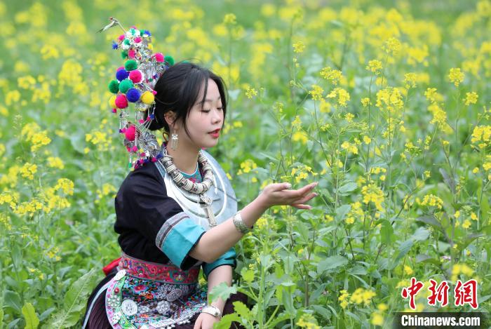 広西・三江　ほころぶ花にたくさんの観光客