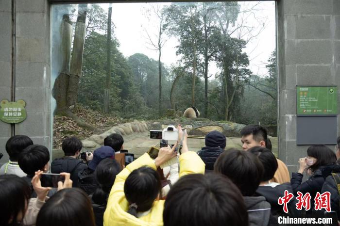  3月10日、四川省雅安市へジャイアントパンダを見に訪れた日本の大学生。（撮影・邱川浩）
