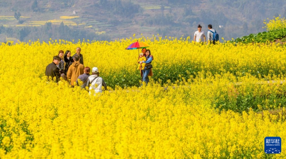 春の陽気に誘われて、花が見ごろを迎えた中国各地